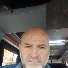 , 66, 