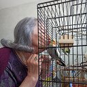 ���� Nani, ��������� - ��������� 15 ������ 2026 � ������ ���� ����������