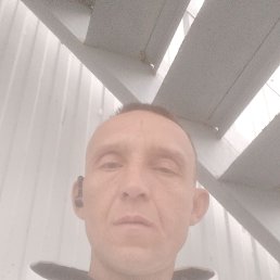 ���� �����, ������, 44 ���� - ��������� 4 �������� 2025