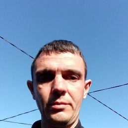 , 33, 