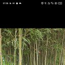 ���� �������, �����, 40 ��� - ��������� 18 ������� 2023 � ������ ���� ����������