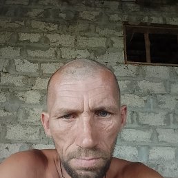 , 37, 