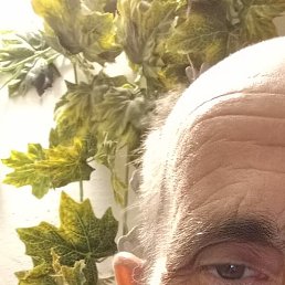 ���������, ���������, 59 ���