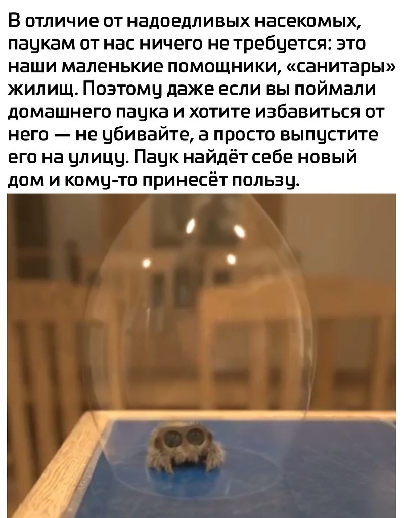 ���� - 1 ������� 2025 � 08:32 - 4