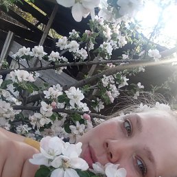  , 27, 