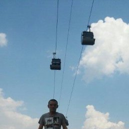 , 40, 
