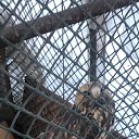 ���������� ��� ����� �� ������� ���� ����������