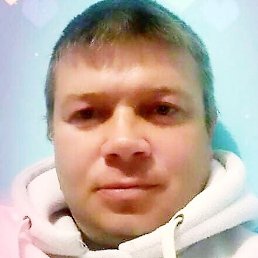 Sasa, �������, 40 ���