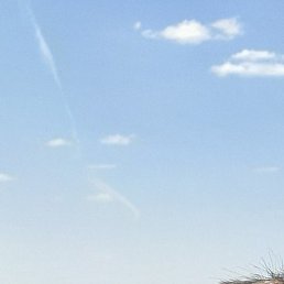 ������, ���������, 33 ����