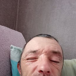 , 44, 