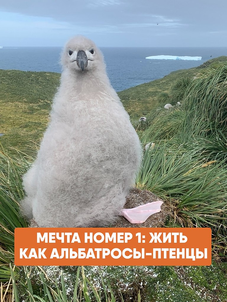      :   ,     , ...