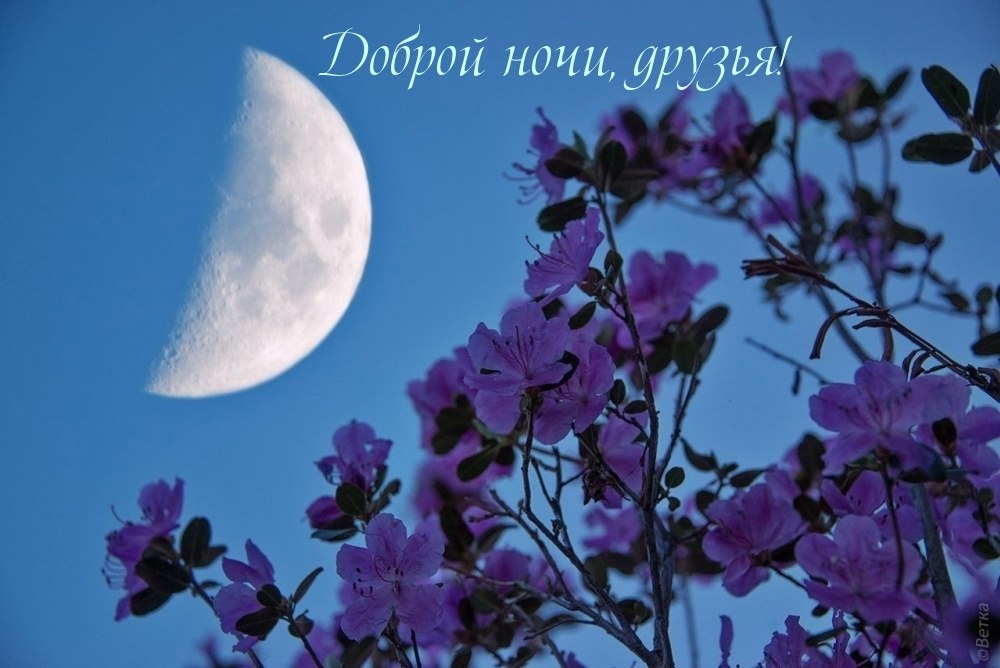   ,   .  -    "".    ...