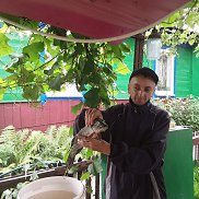 ����, 44 ����, ������