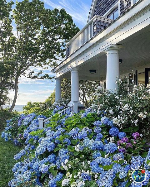 oopapoa aea aoe  apaoco oac - 2