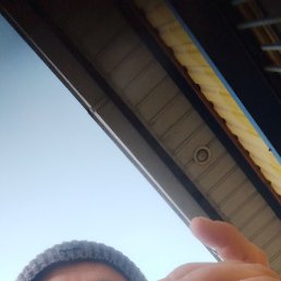 �����, �������, 40 ���