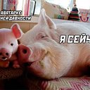 ���� ������, ����� - ��������� 8 ��� 2025 � ������ ������ ��������