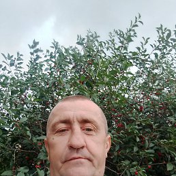 , 48, 
