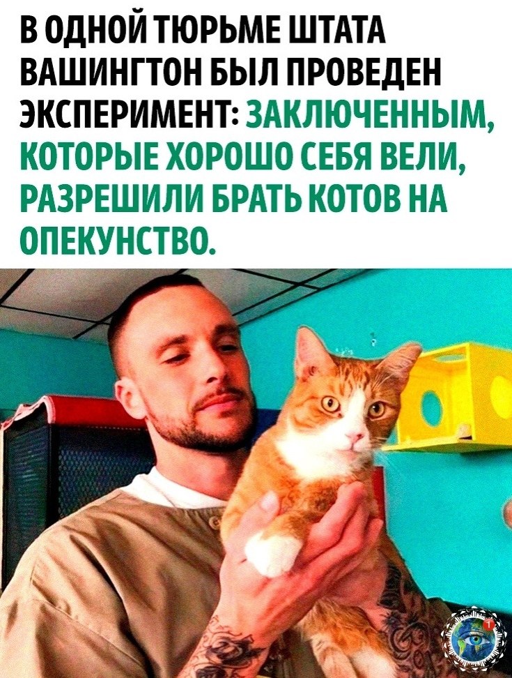 opoa paa!