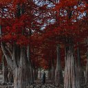  Galina,  -  21  2025    