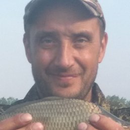 ����, ������, 46 ���