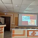 ���� ������������, ���������, 33 ���� - ��������� 4 ������� 2026 � ������ ������ ��������