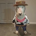 ���� �������, �����, 46 ��� - ��������� 23 ����� 2024 � ������ ���� ����������