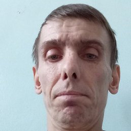 �����, ������, 41 ���