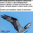 ���� �����, ������ ����� - ��������� 3 ���� 2026 � ������ ������ ��������
