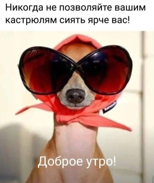 ***Victoria Viktorovna*** - 25  2024  01:12