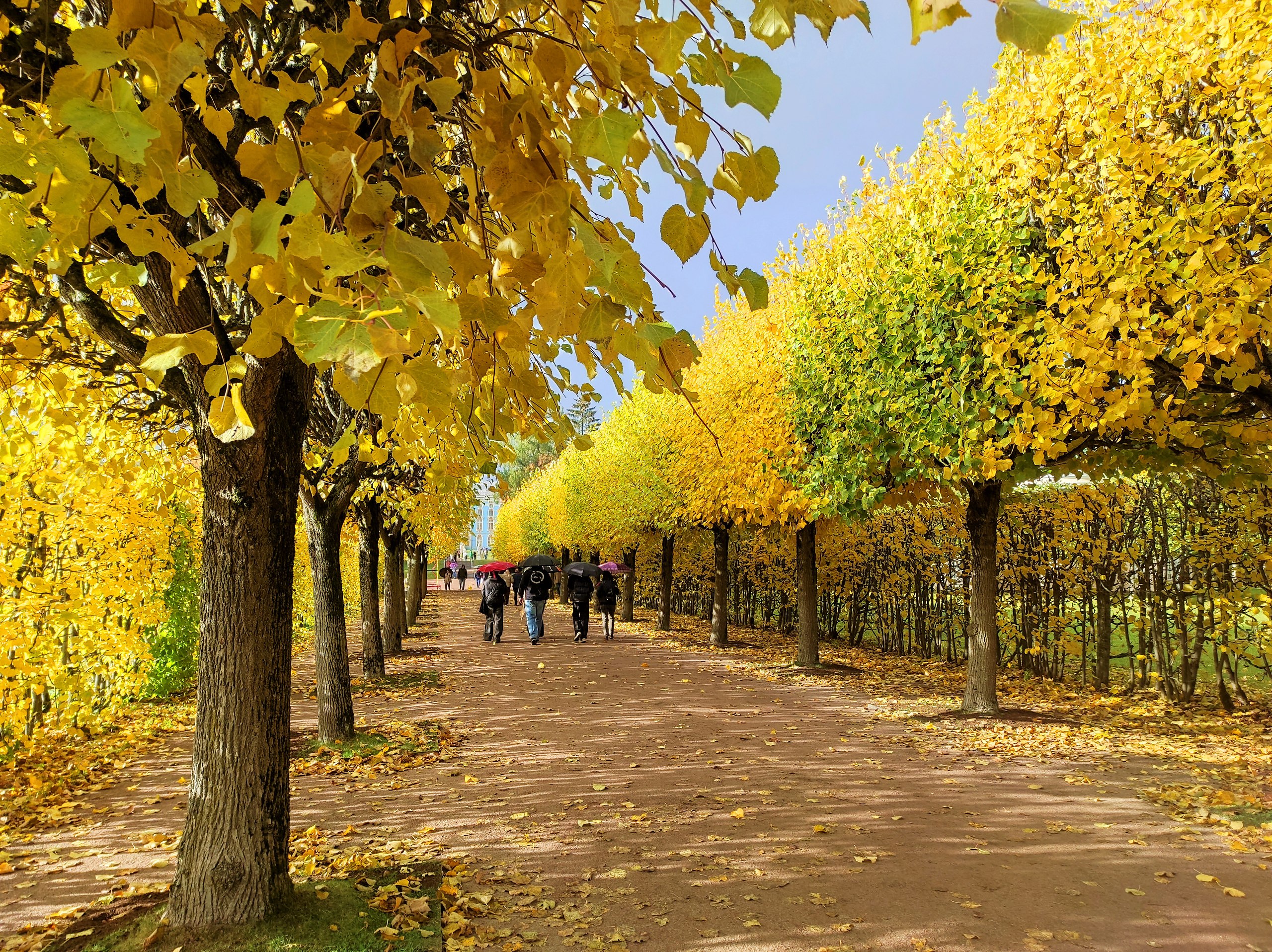  - 19  2025  11:13 - 4