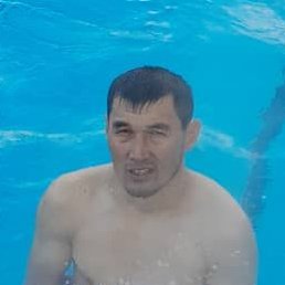 ,  , 37 