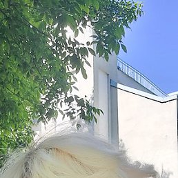 , , 99 
