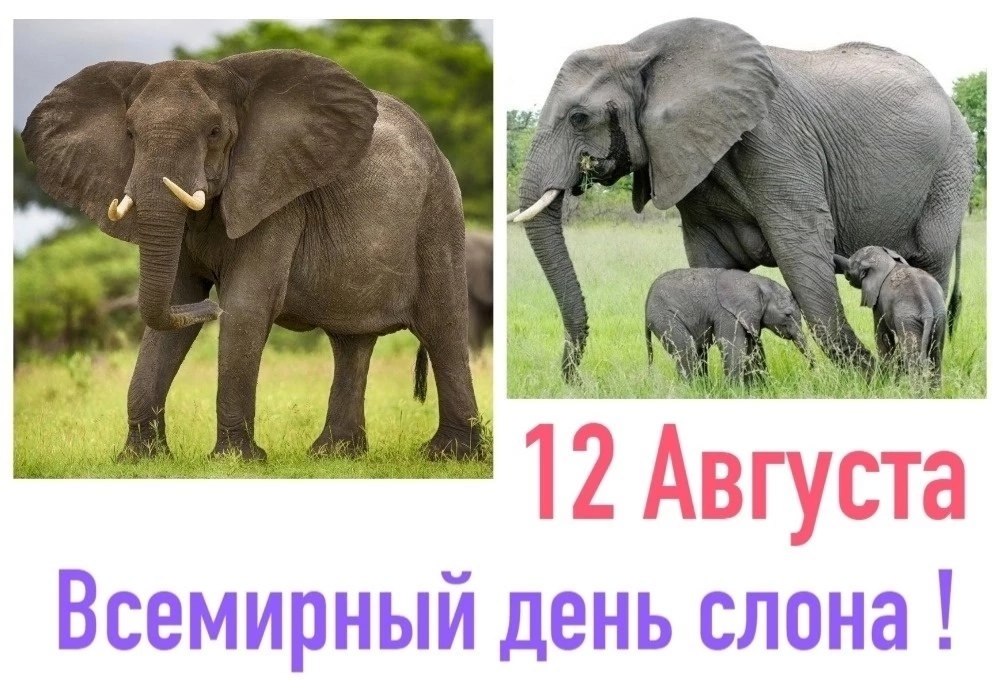 : , , , , ,  - 7