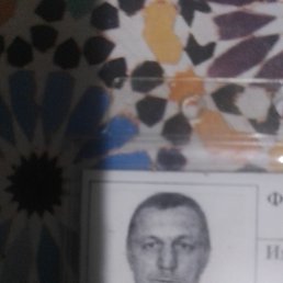 , 59, -