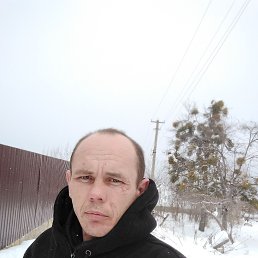 �����, 37 ���, ������