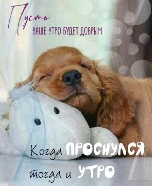 ***Victoria Viktorovna*** - 14  2025  03:32