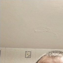 ������, ������� ����, 42 ����