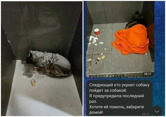 ���������� ����� ������ ����� ���������� �������, ��� ������ � ��������� ���� ����� ����� ��������� ...
