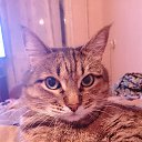 ���� ���������, ���, 38 ��� - ��������� 24 ������� 2023 � ������ ���� ����������