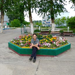 ����� ���, 44 ����, �����������