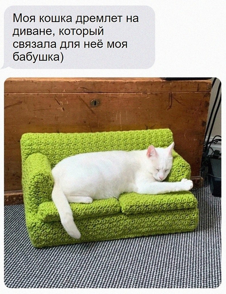 ��� �������� �������� - 7 ������� 2026 � 12:30