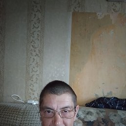 , 51 , 