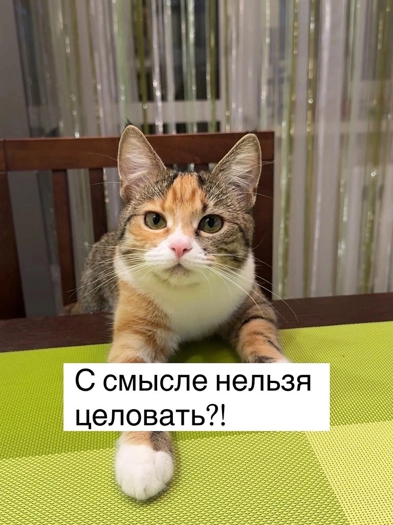 = - 3