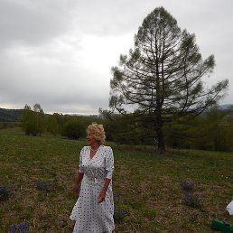 ������, ������, 70 ���