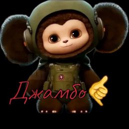 ����, �����-��������, 41 ���