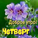 ���� ������, �����, 80 ��� - ��������� 28 ��� 2026