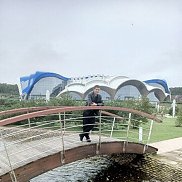 ����, 38 ���, ���������