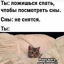 ���� ������, ������ - ��������� 27 ������ 2025 � ������ ������ ��������