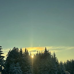 ���� �������, ������ - ��������� 7 ����� 2026