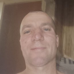 ����, ���������, 42 ����